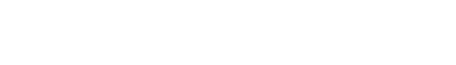 Liva Vision